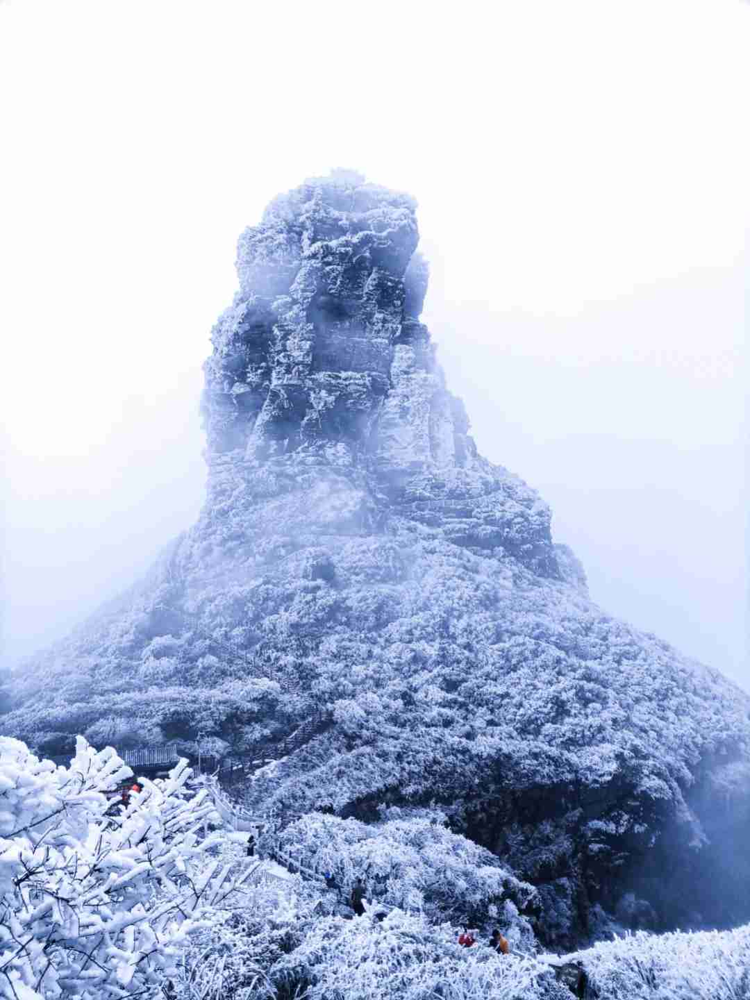 Montaña Fanjing